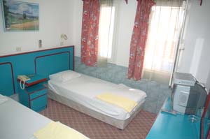 Basic twin with pool view, private facilities (bath and shower), and breakfast